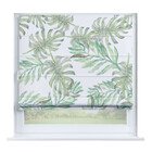 Листья монстеры